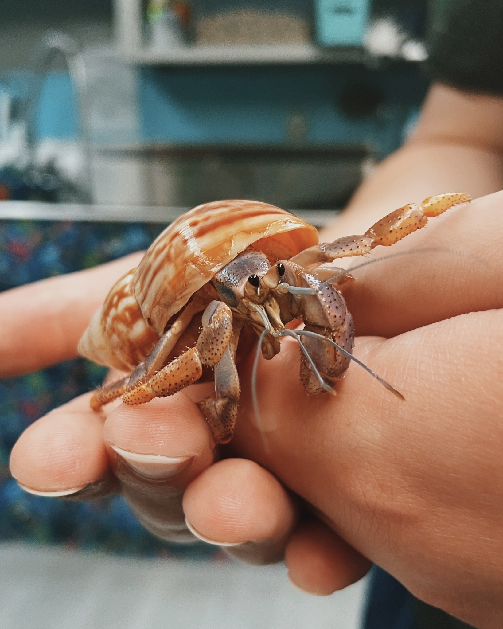 Things To Do Emerald Coast Science Center